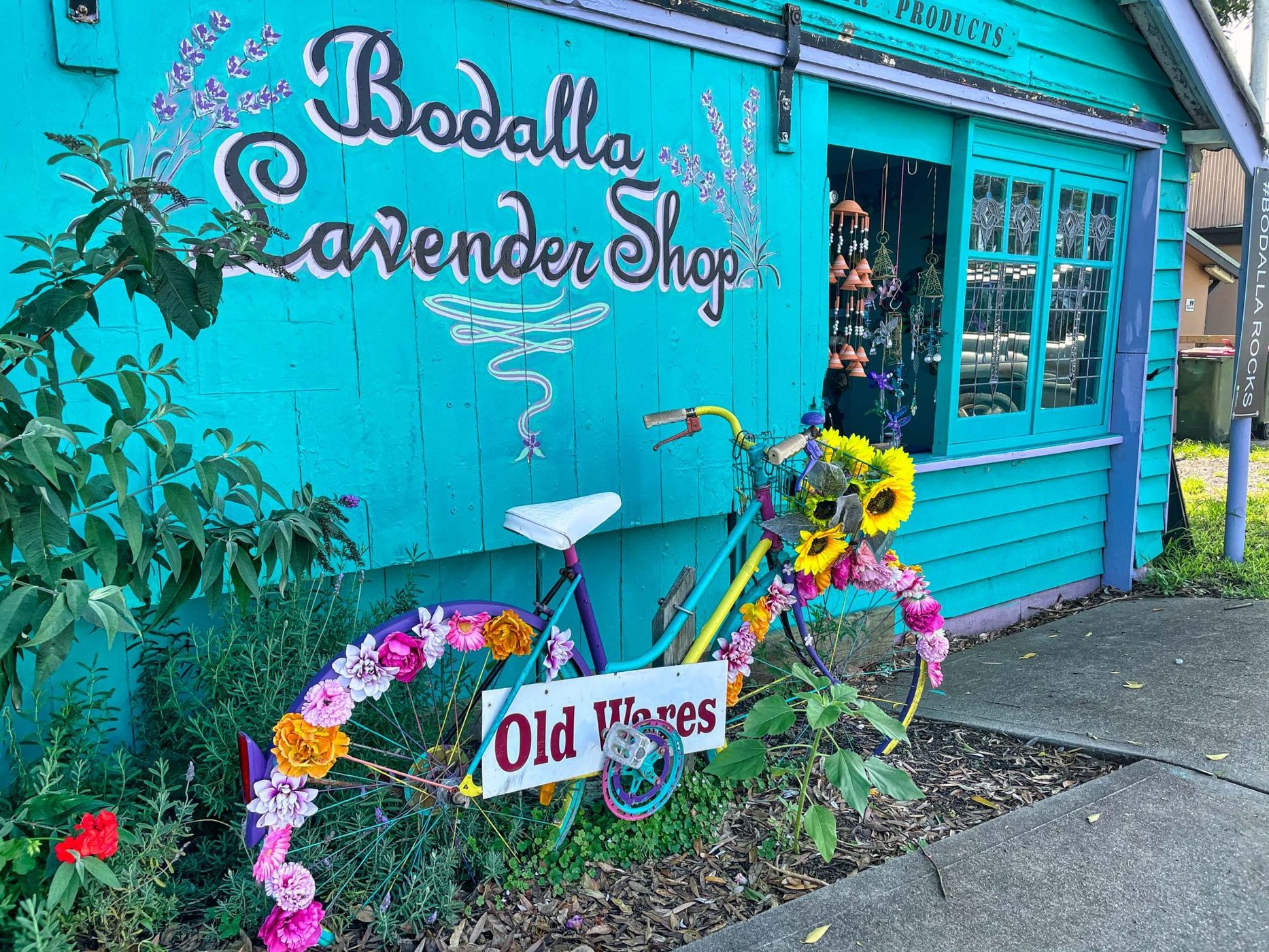 Lavender Shop Bodalla South Coast NSW, Australia