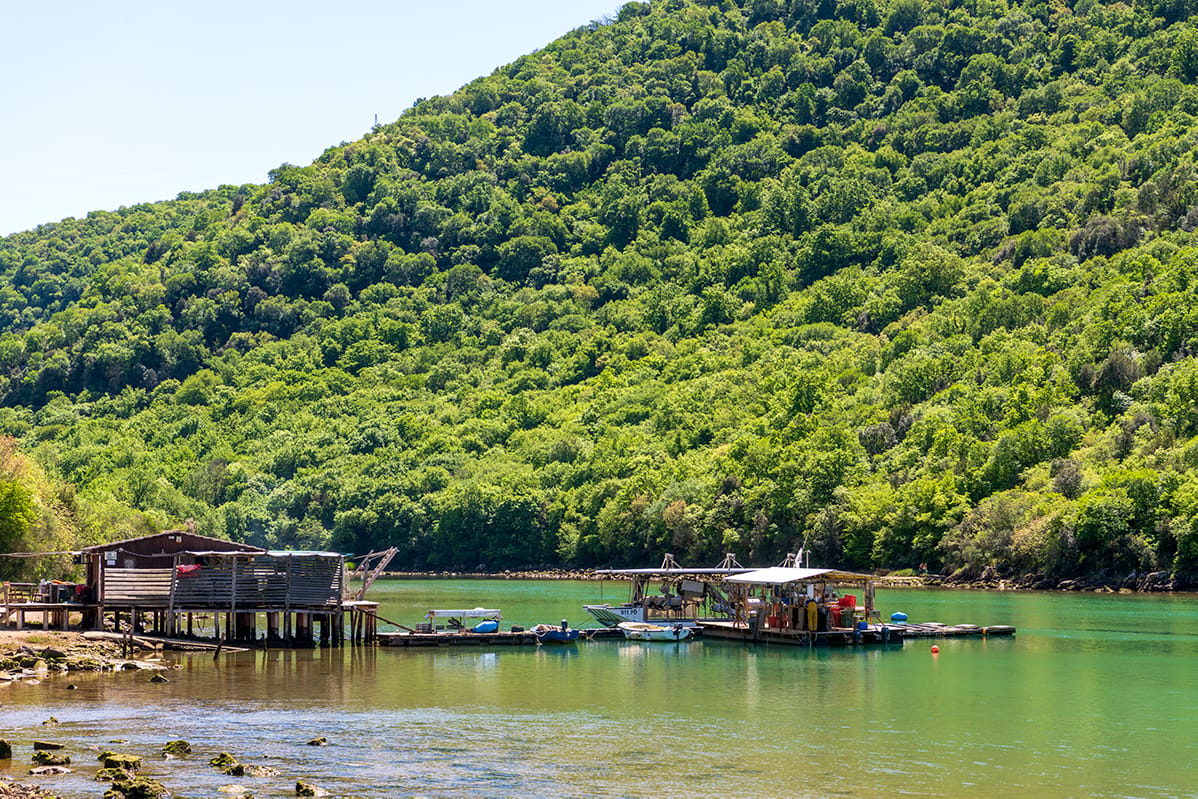 Lim Bay, Croatia