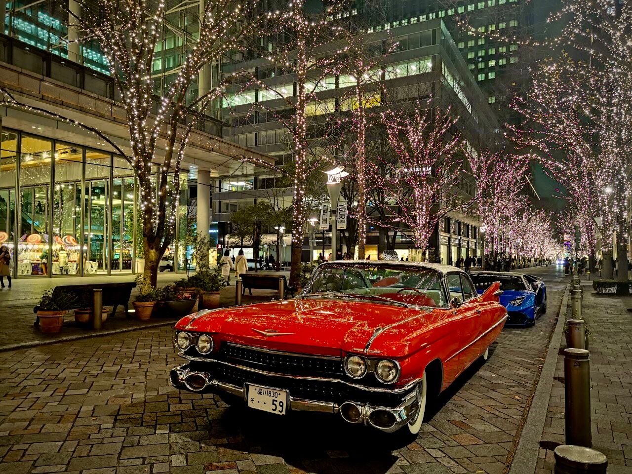 Marunouchi Nakadori Ave., Japan