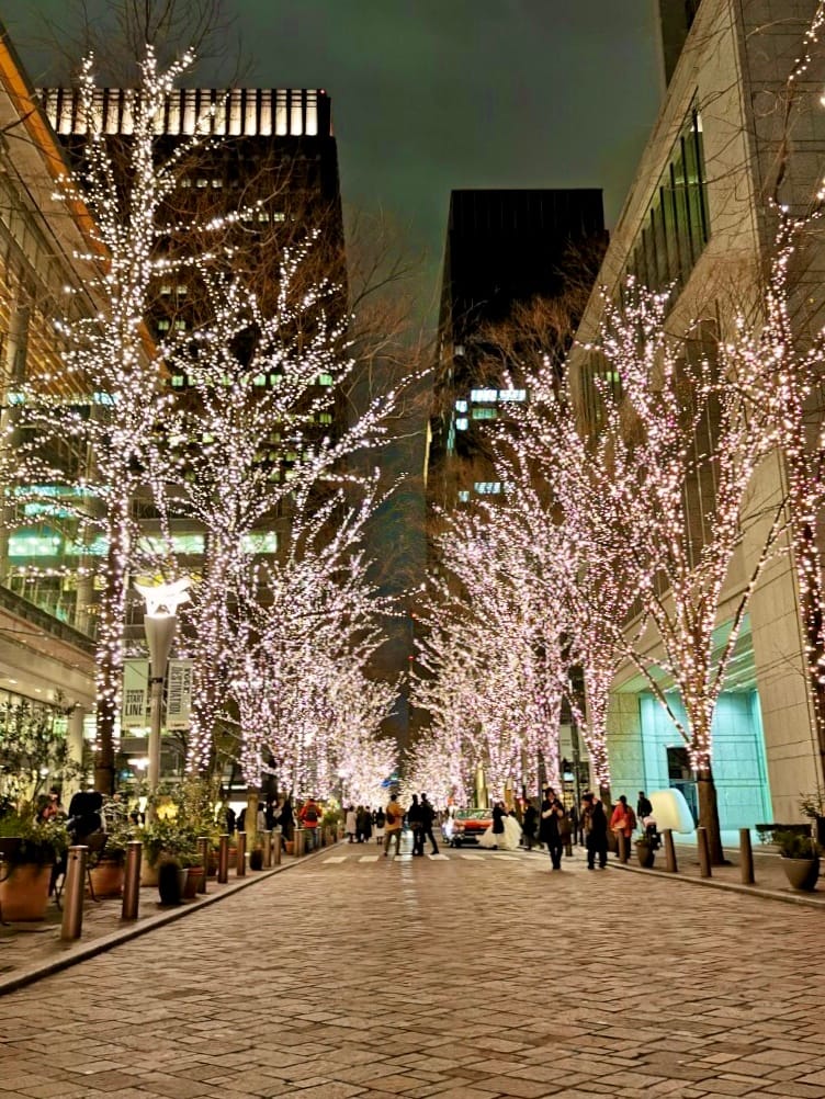 Marunouchi Nakadori Ave., Japan