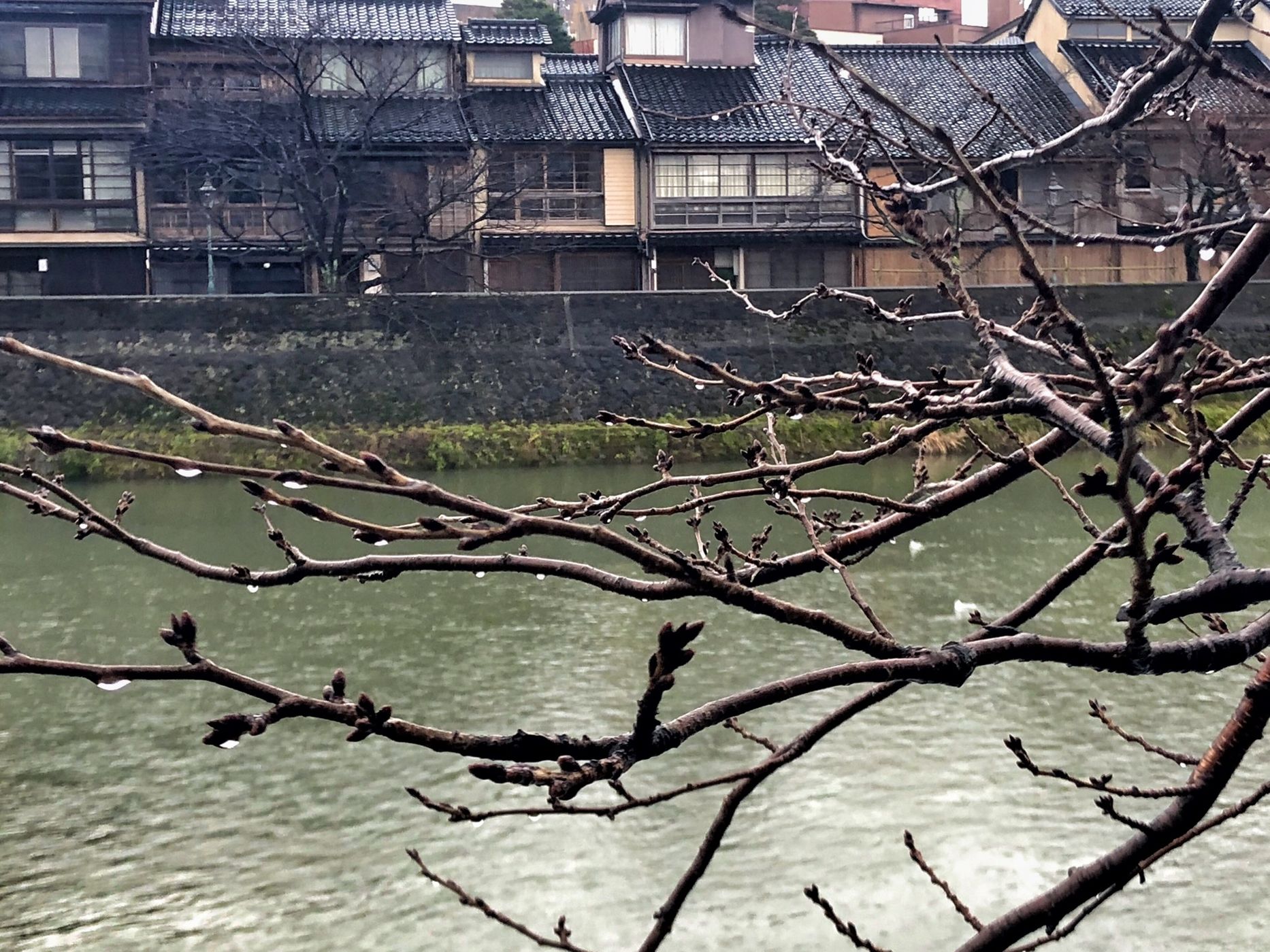 Kazuemachi Chayagai, Japan