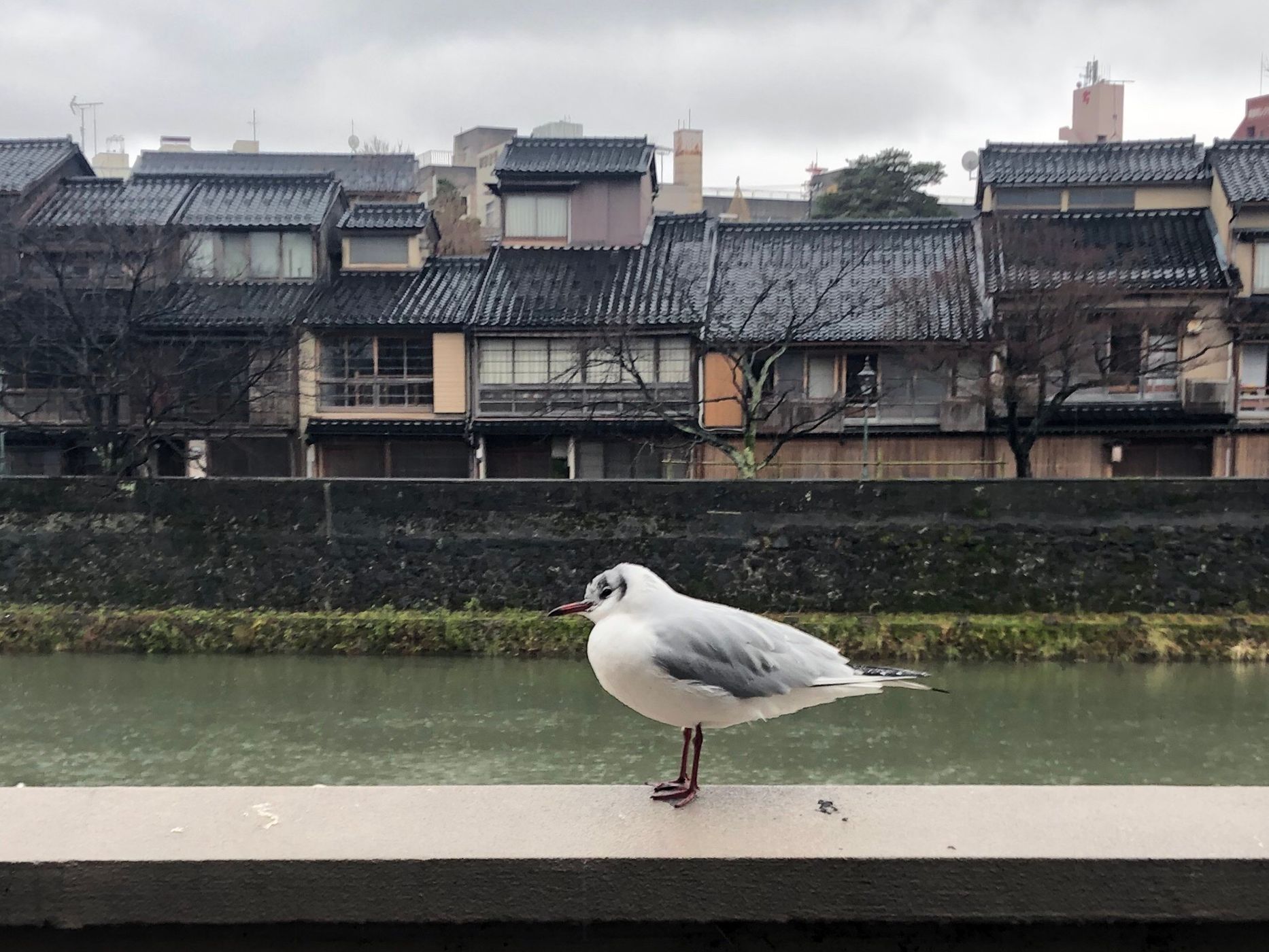 Kazuemachi Chayagai, Japan