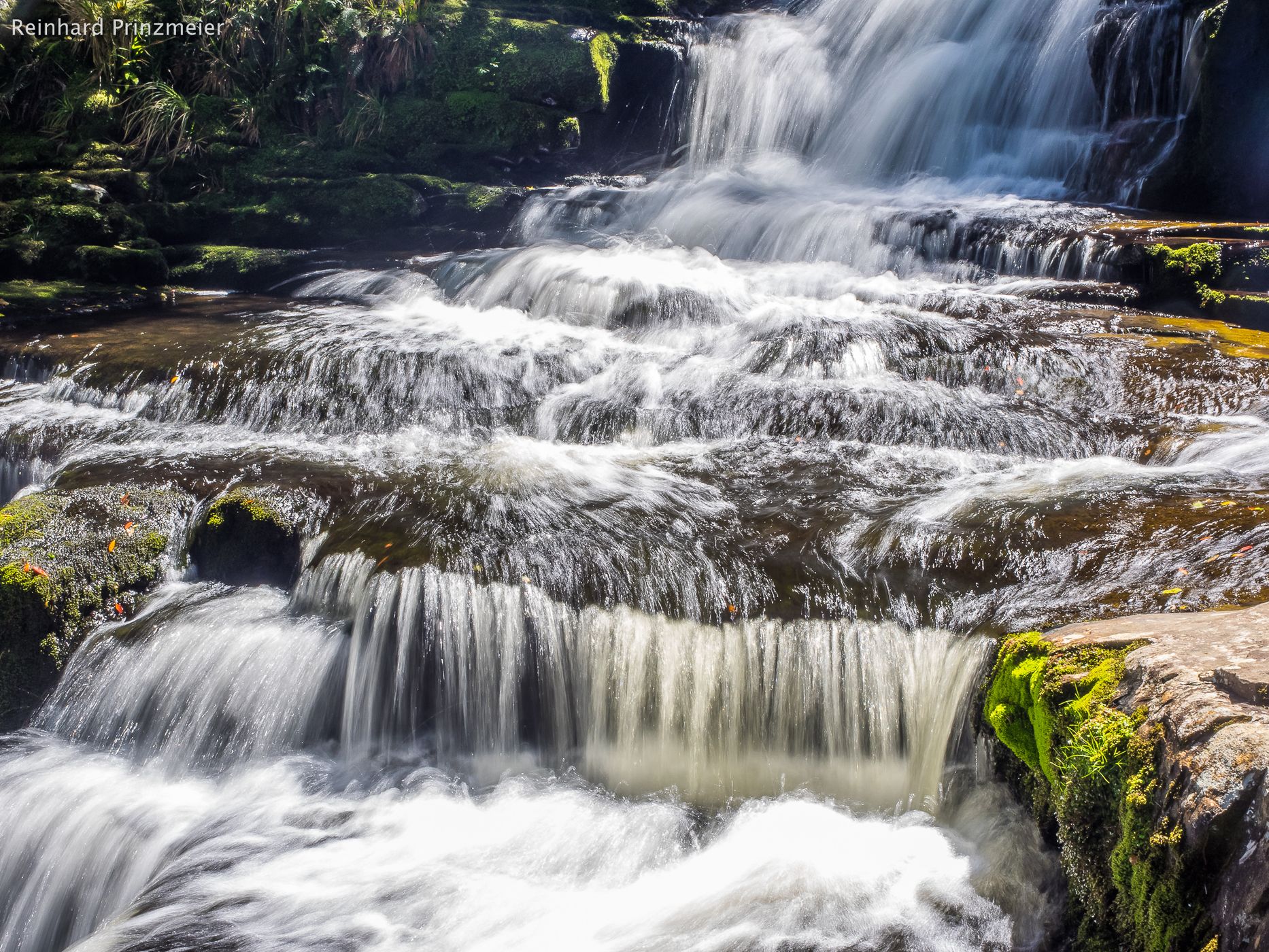 McLean Falls, Catlins, New Zealand