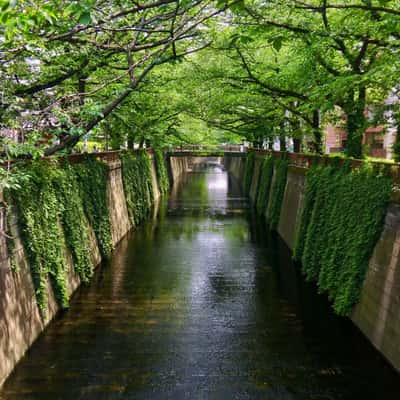 Meguro River, Japan