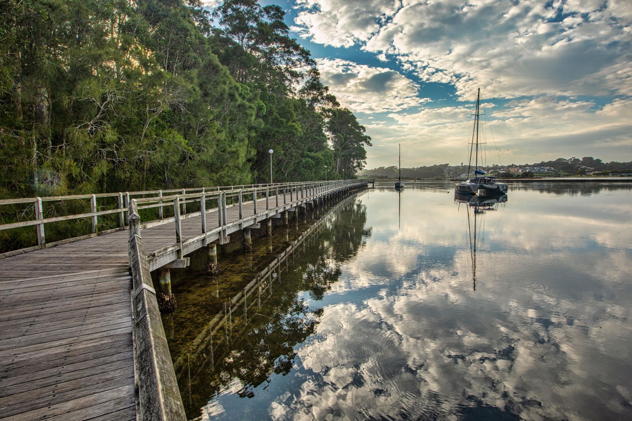 Mill Bay Boardwalk looking east Narooma NSW, Australia