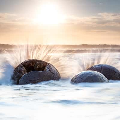 Moeraki Boulders sunrise South Island, New Zealand