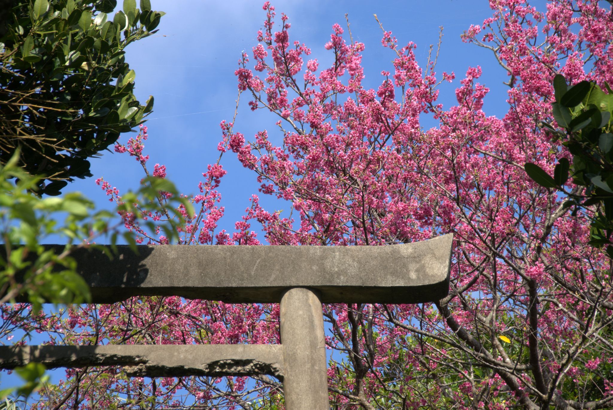 Nakansan Park, Japan