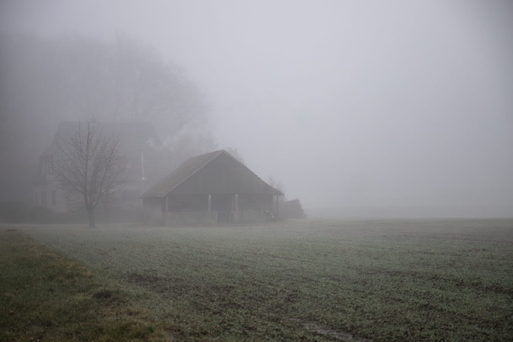 NebelSchuppen, Germany