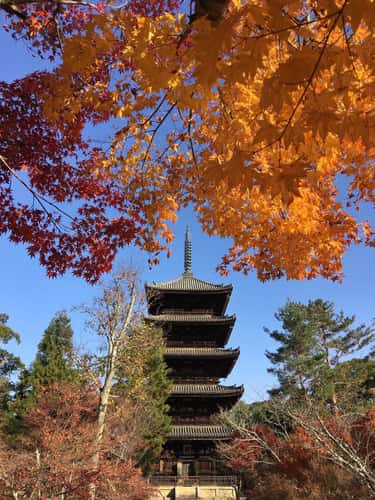 Ninnaji Temple
