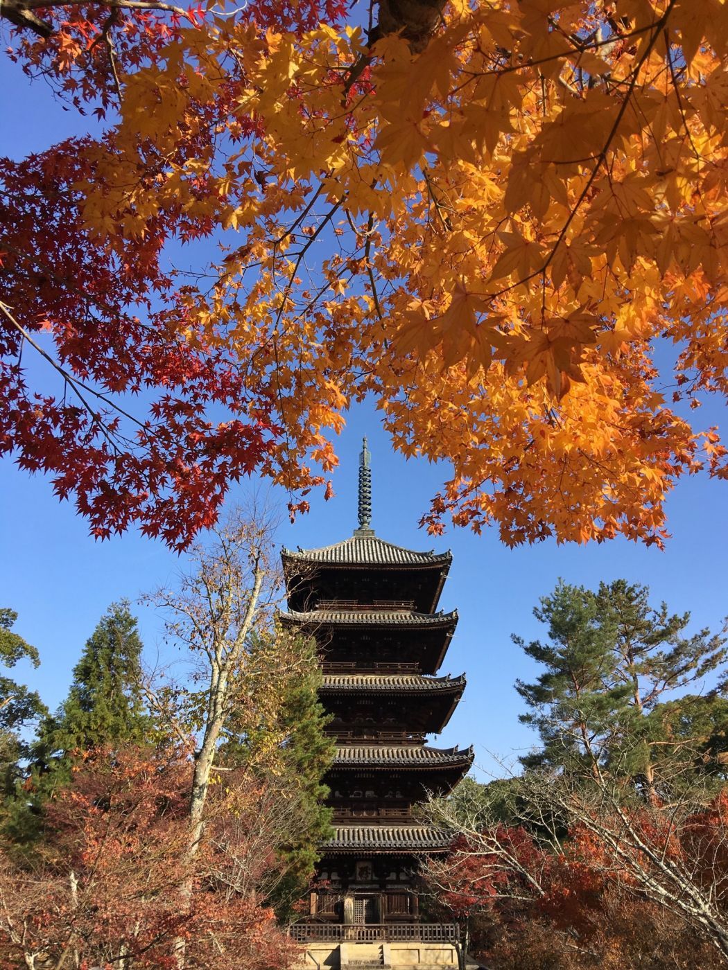 Ninnaji Temple, Japan