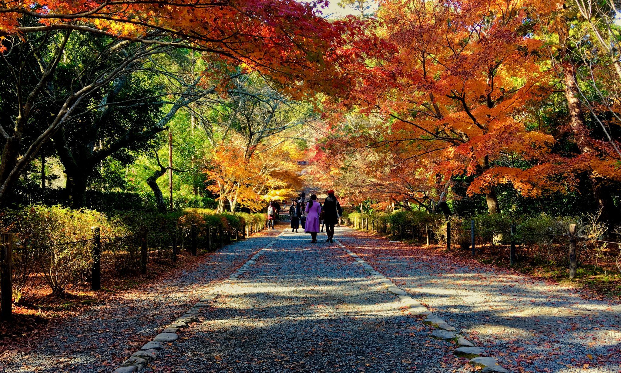 Nison-in Temple, Japan