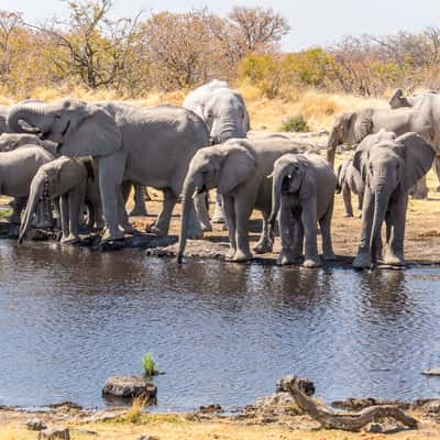 Nuamses waterhole, Namibia