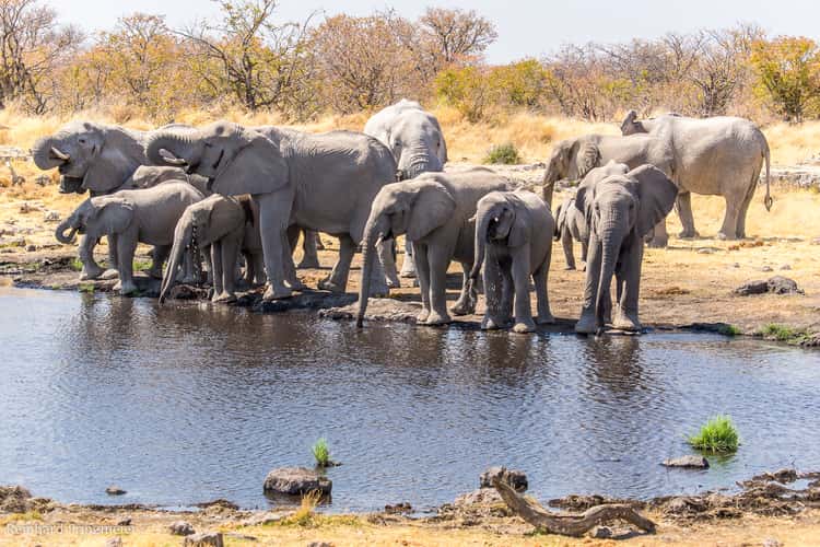 Nuamses waterhole
