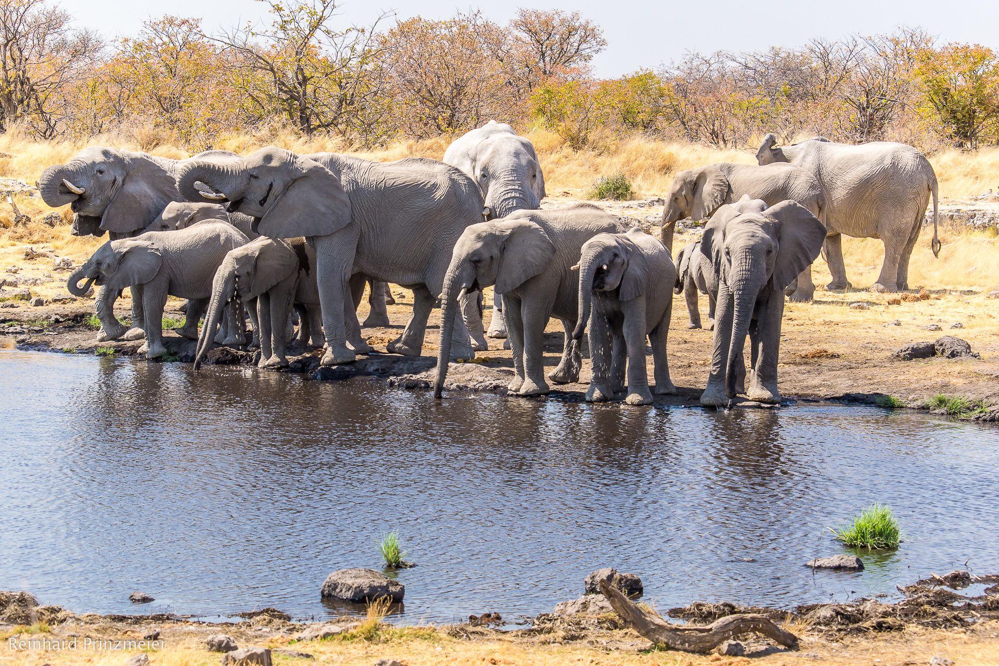 Nuamses waterhole, Namibia