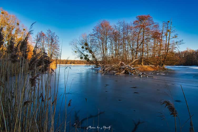 Nymphensee Brieselang, Havelland