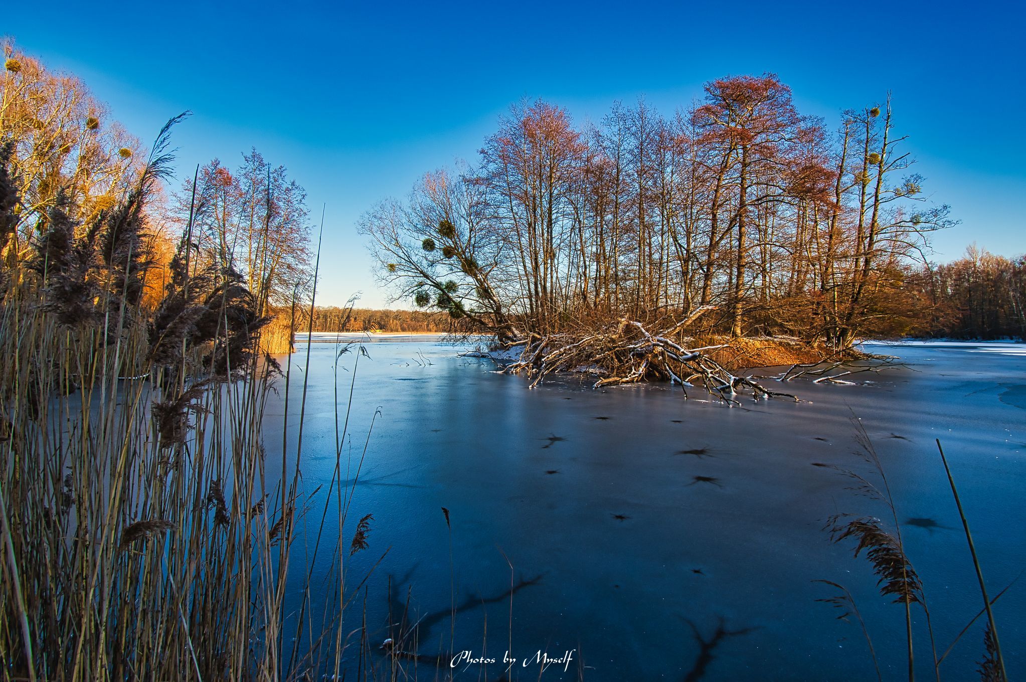 Nymphensee Brieselang, Havelland, Germany
