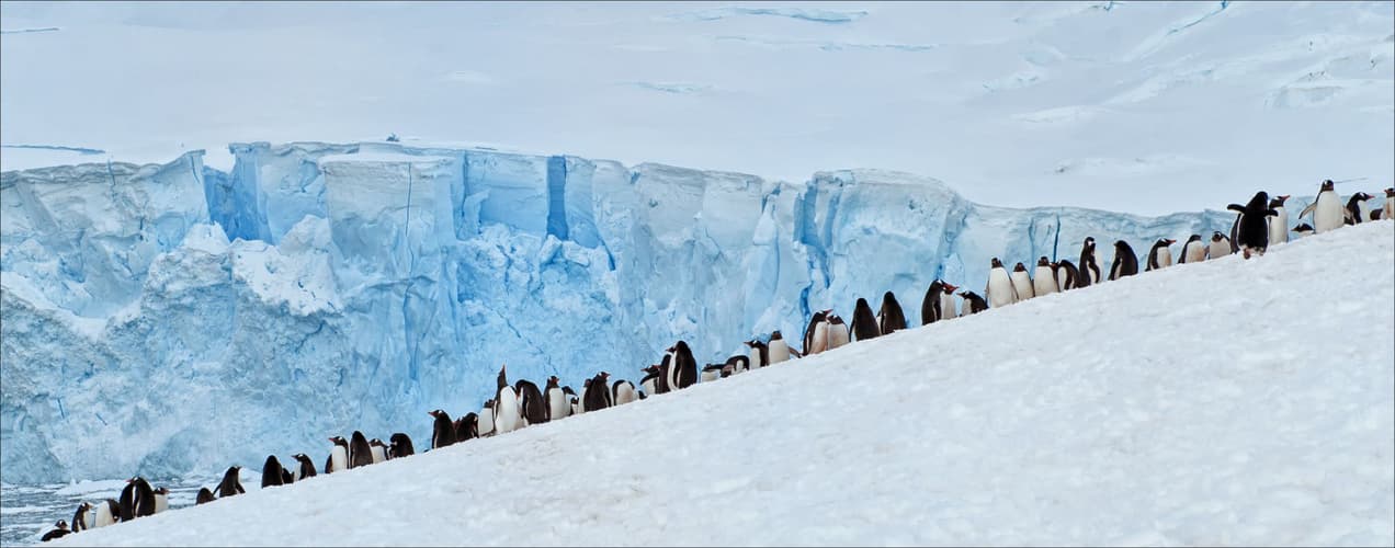 Paradise Bay, Antarctica