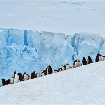 Paradise Bay, Antarctica, Antarctica