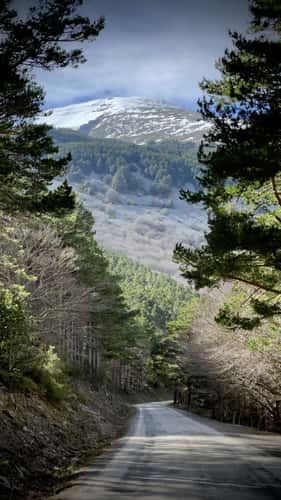 Parque Natural del Moncayo