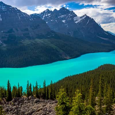 Peyto Lake, Canada