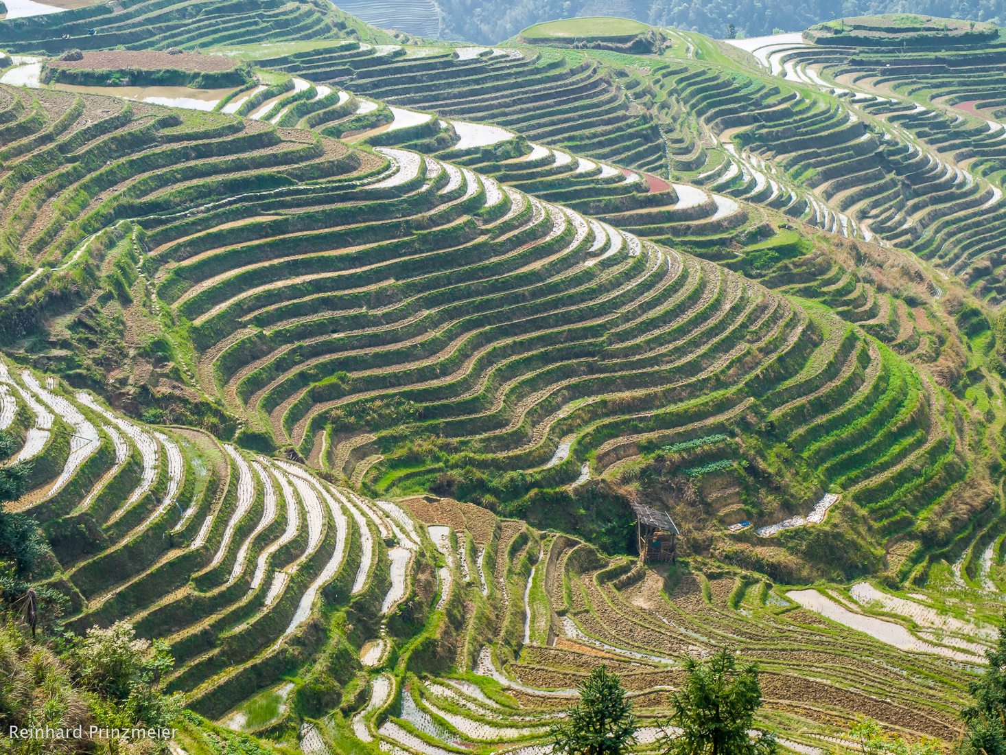 Ping An Terraces, China