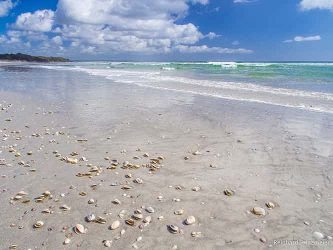 Rarawa Beach