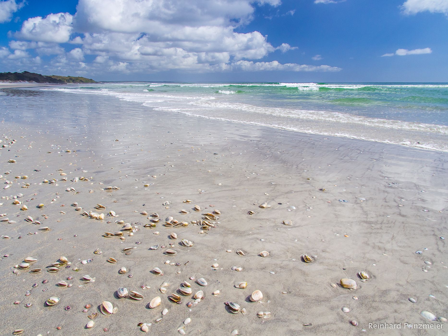 Rarawa Beach, New Zealand