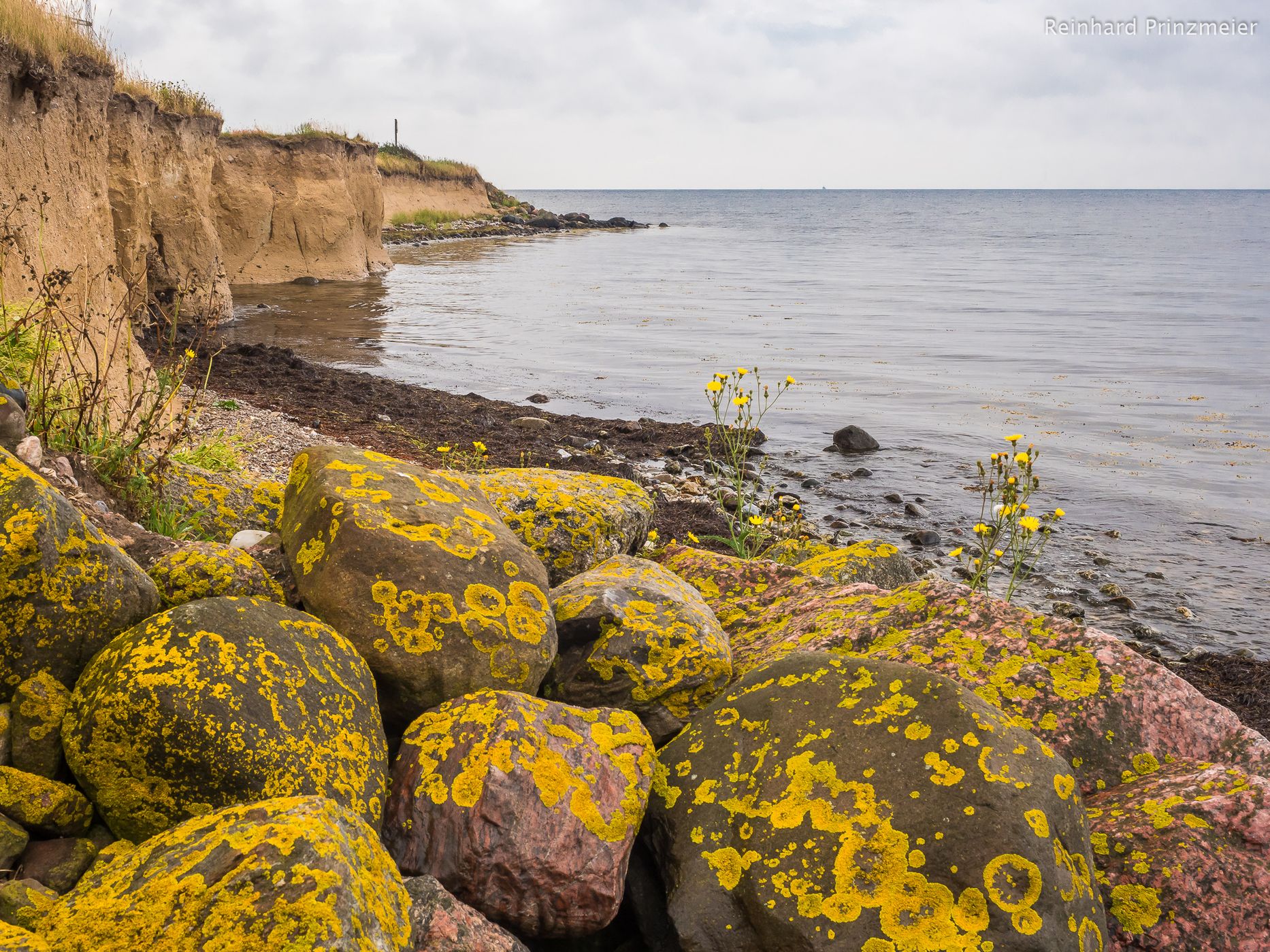 Ristinge Klint, Denmark