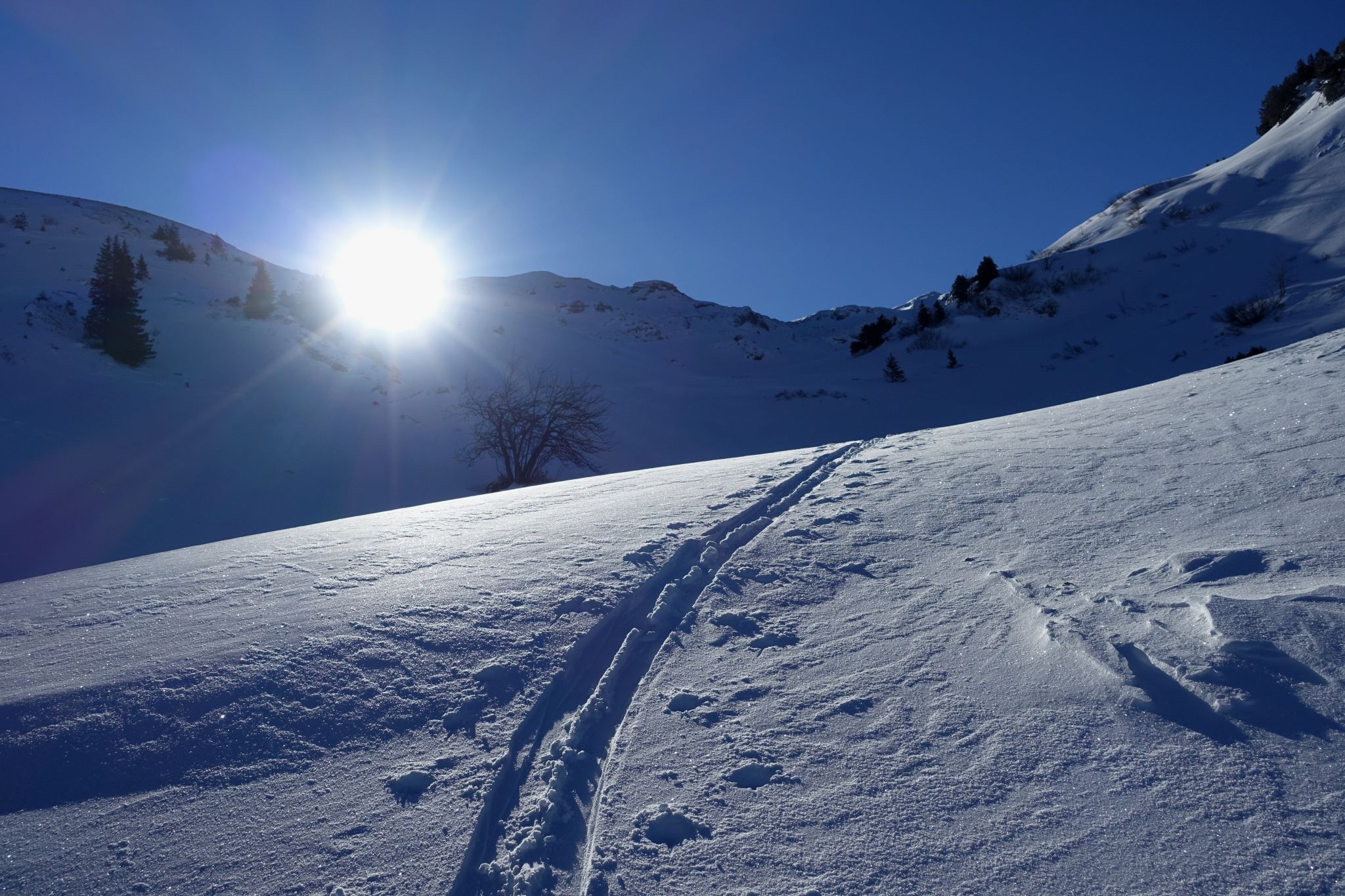 Schilt, Switzerland