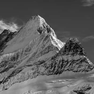 Schreckhorn from Grindelwald First, Switzerland