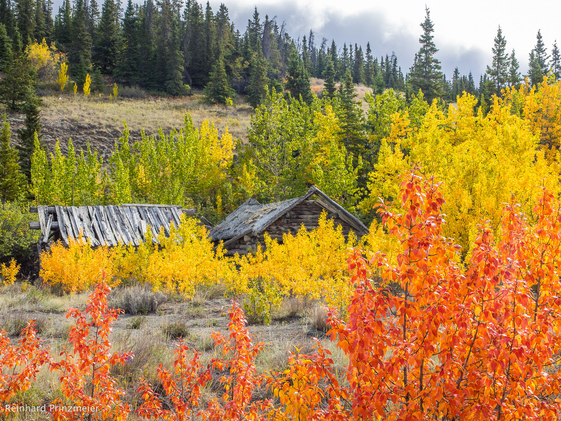 Silver City, Canada