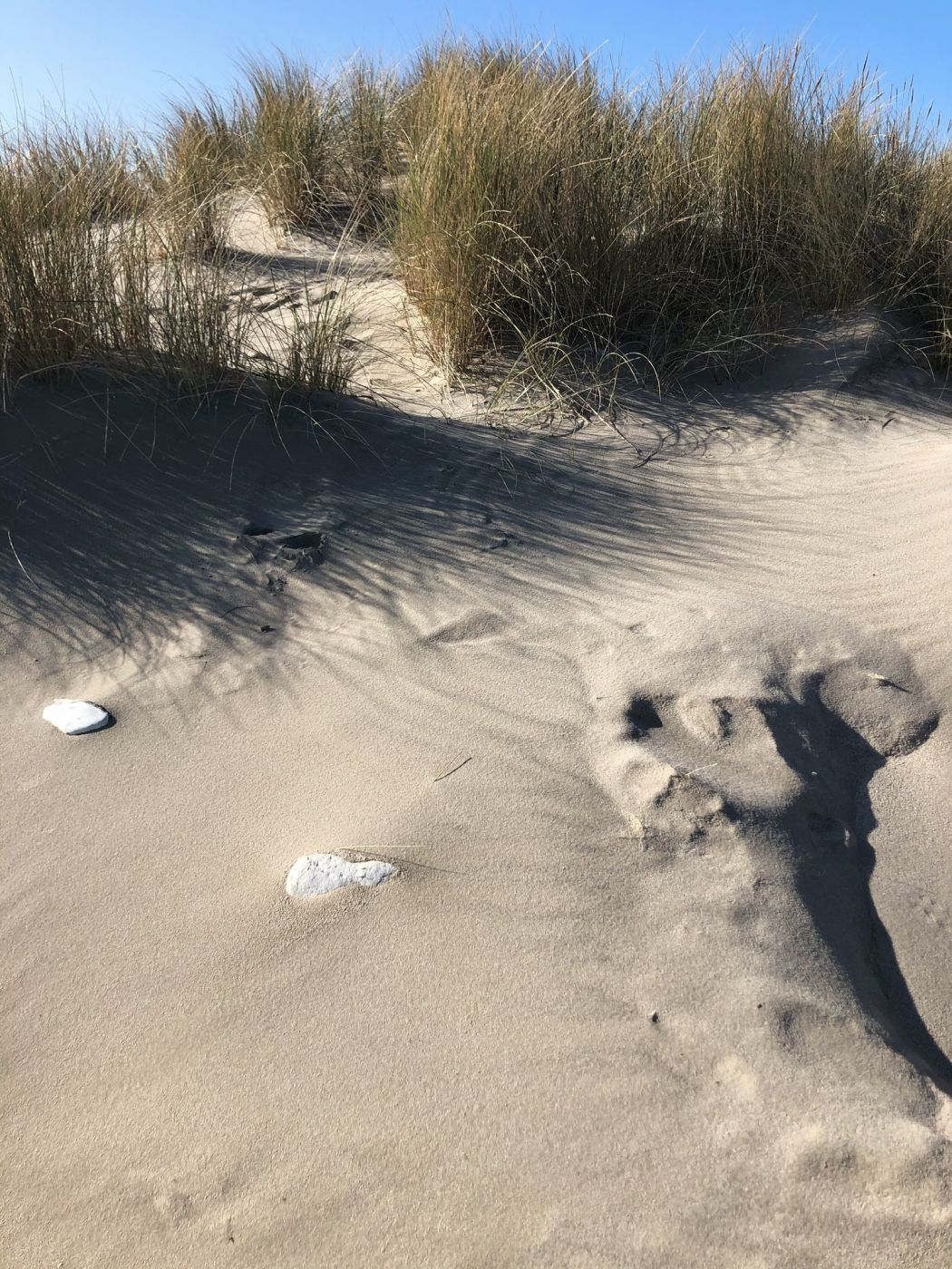Slettestrand, Denmark