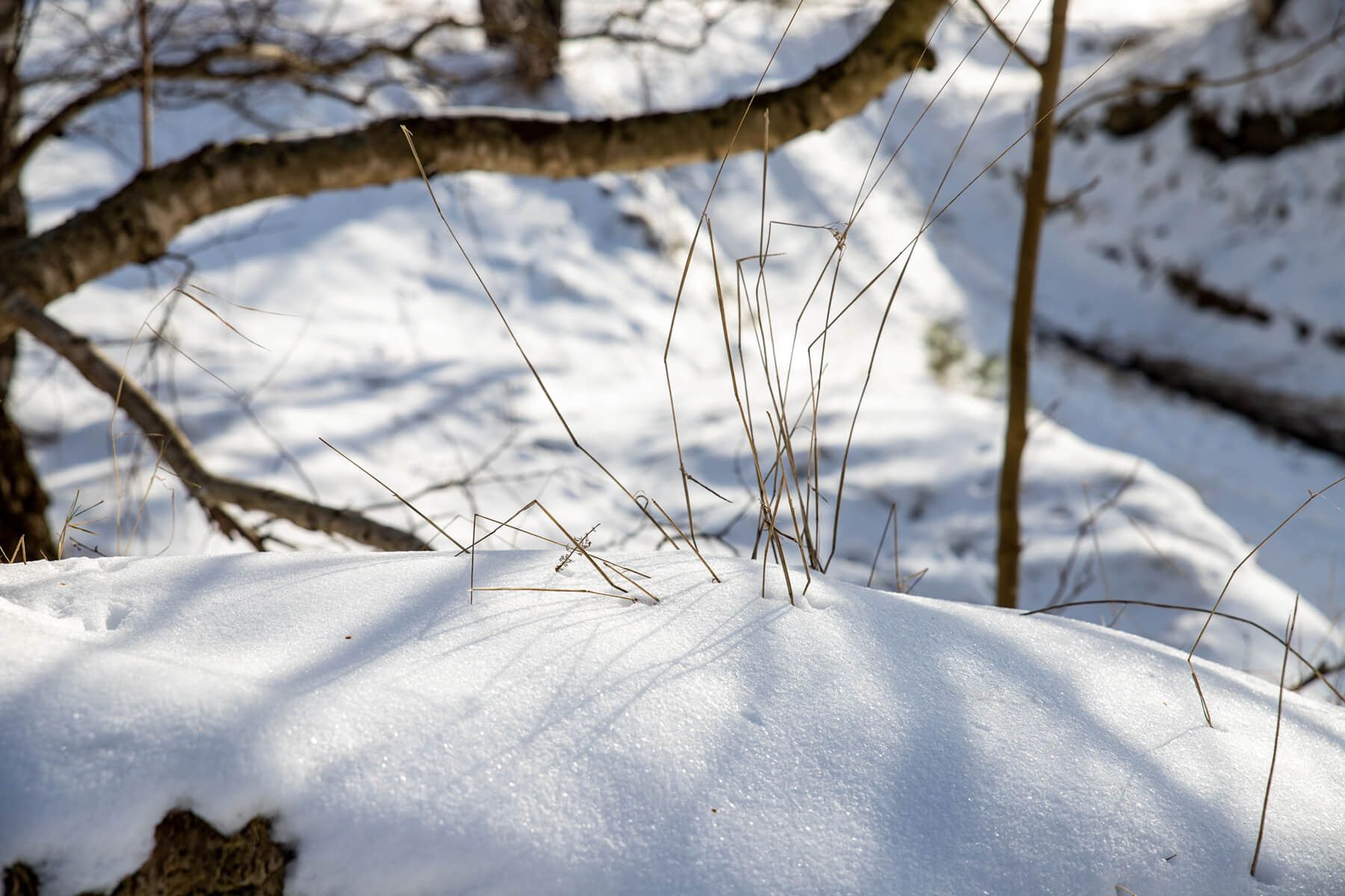 Snow covered, Germany