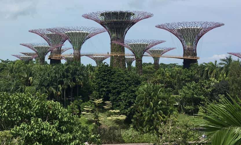 Supertree Grove