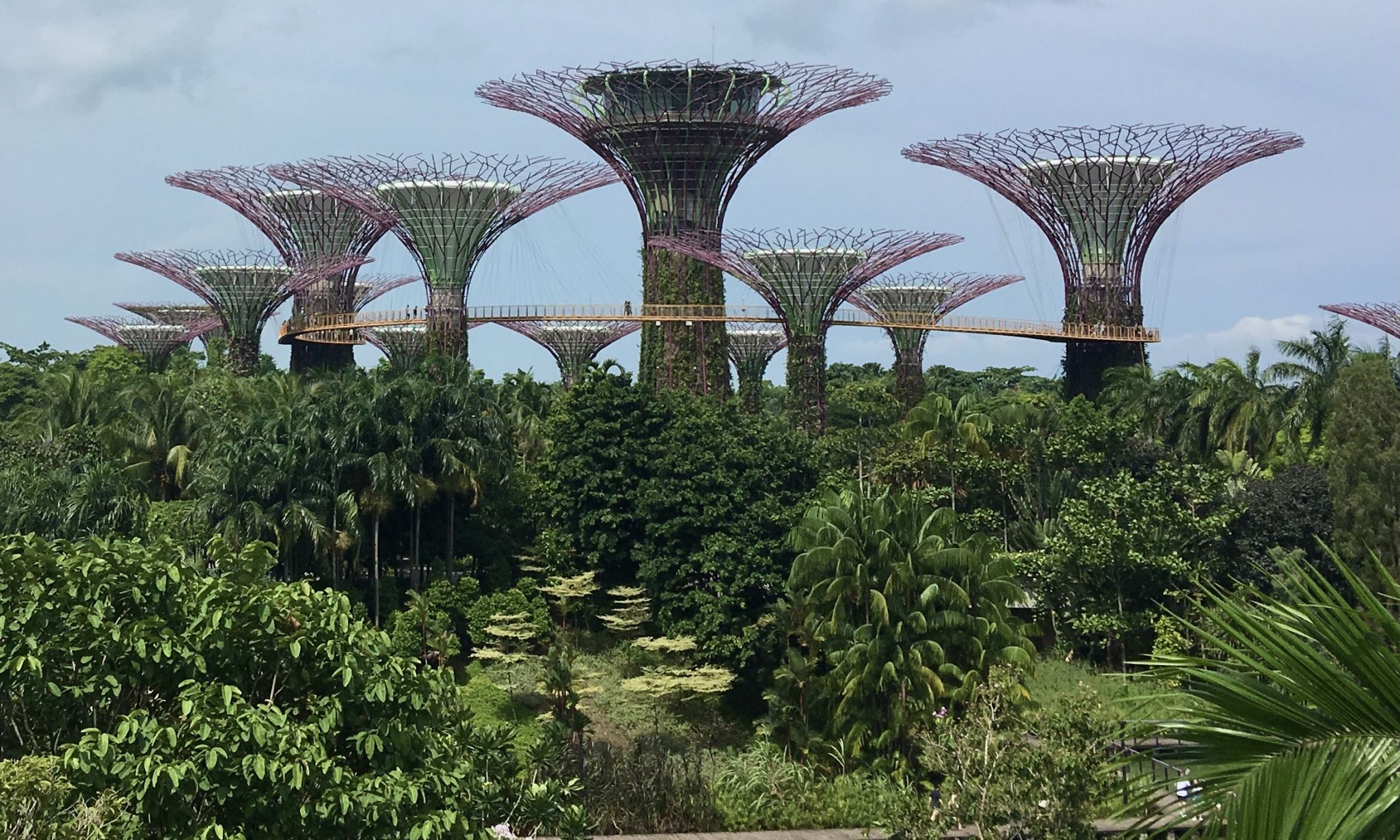 Supertree Grove, Singapore