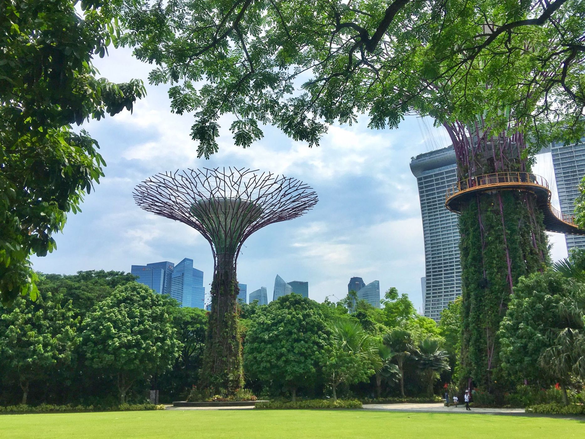 Supertree Grove, Singapore
