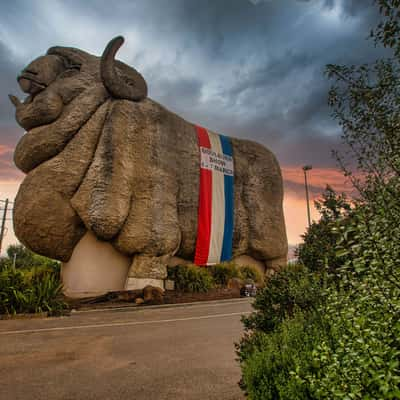 The Big Merino Goulburn New South Wales, Australia