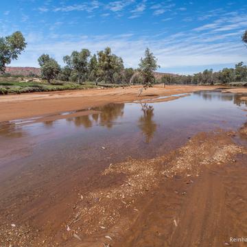 Todd river - Alice Springs, Australia