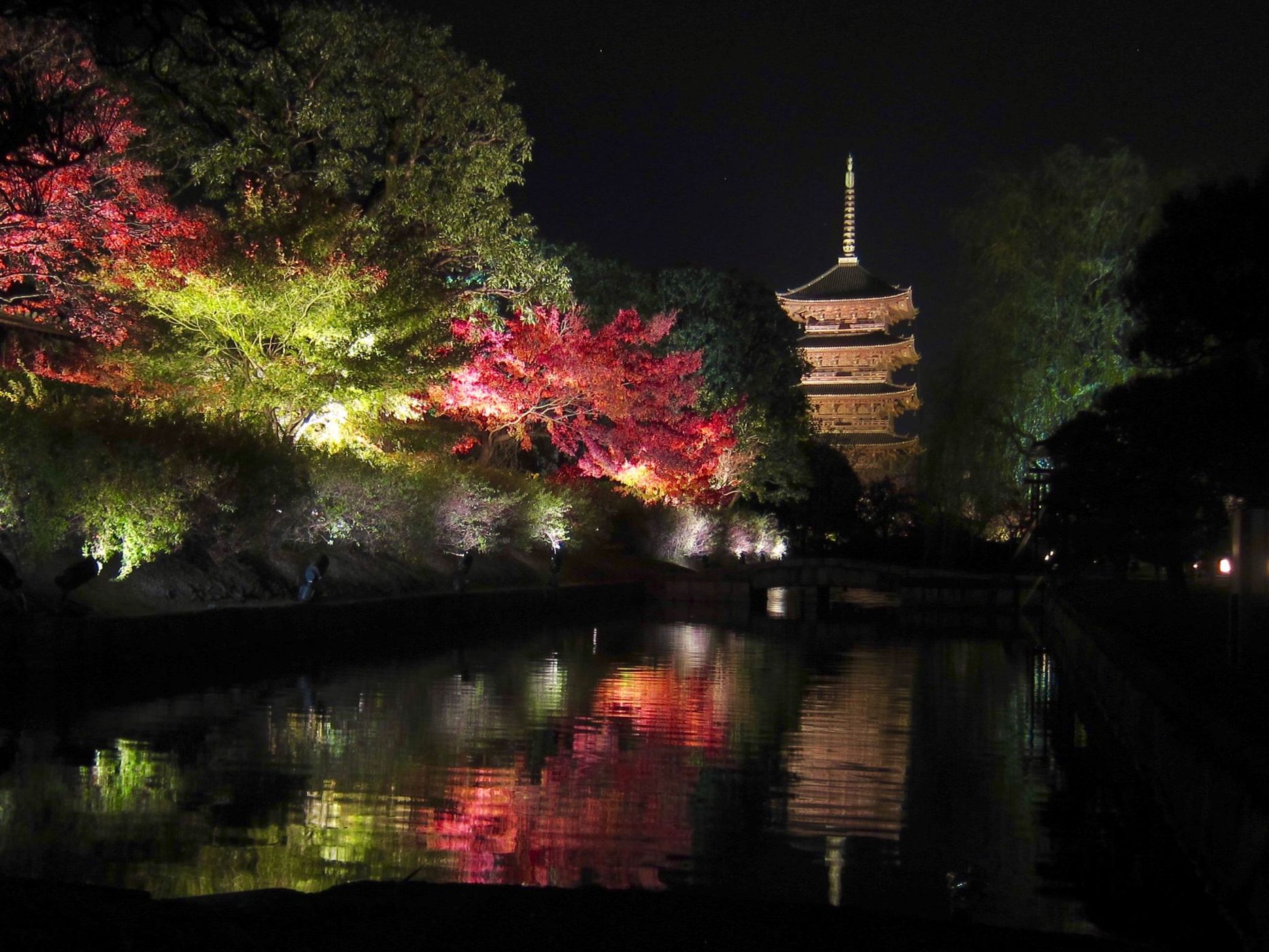 Toji Temple, Japan