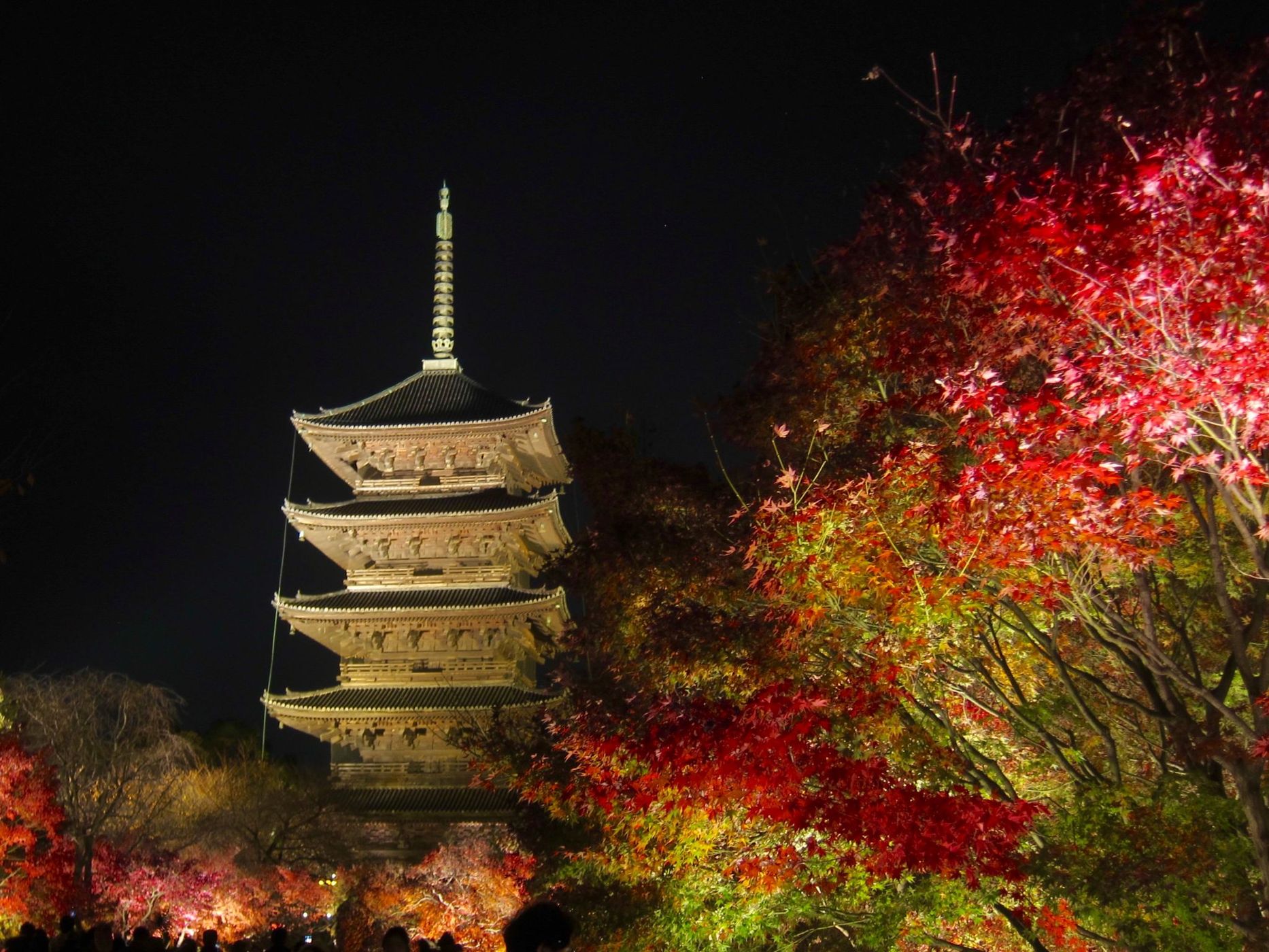 Toji Temple, Japan