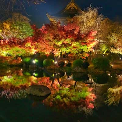 Toji Temple, Japan