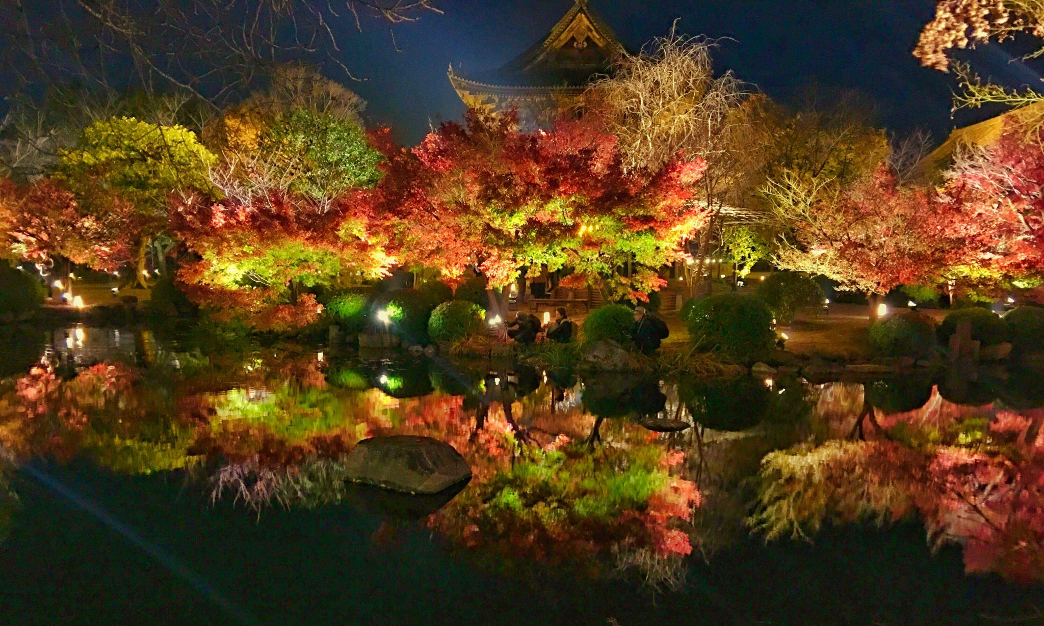 Toji Temple, Japan