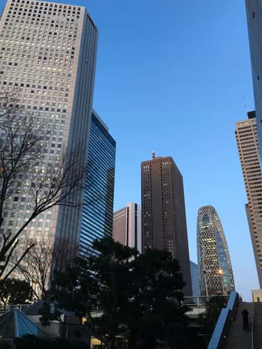 Tokyo metropolitan building