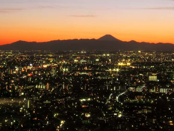 Tokyo metropolitan building