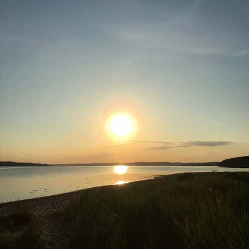 Vejle Fjord