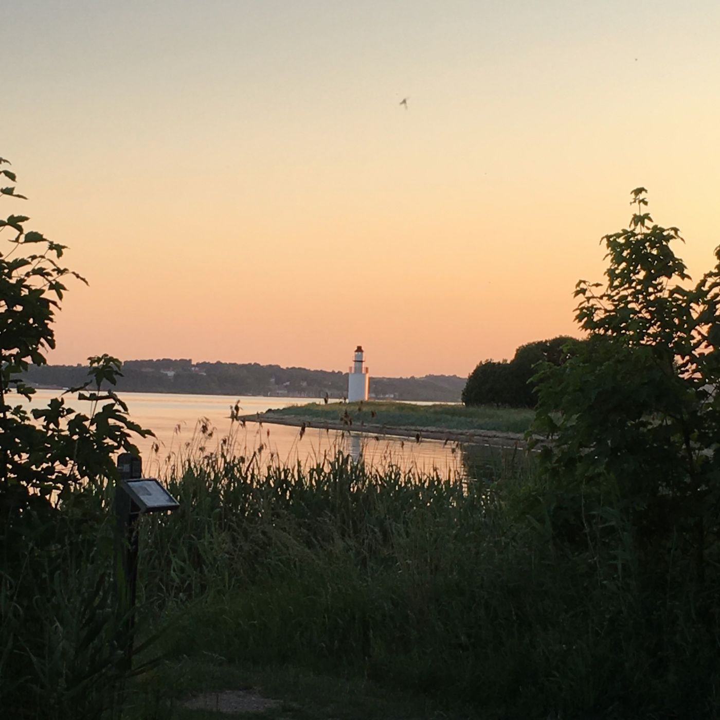 Vejle Fjord, Denmark