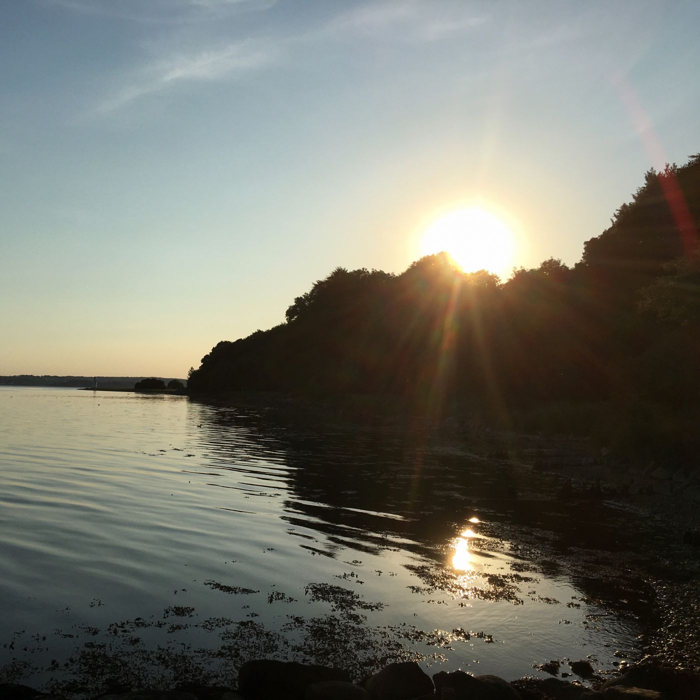 Vejle Fjord, Denmark