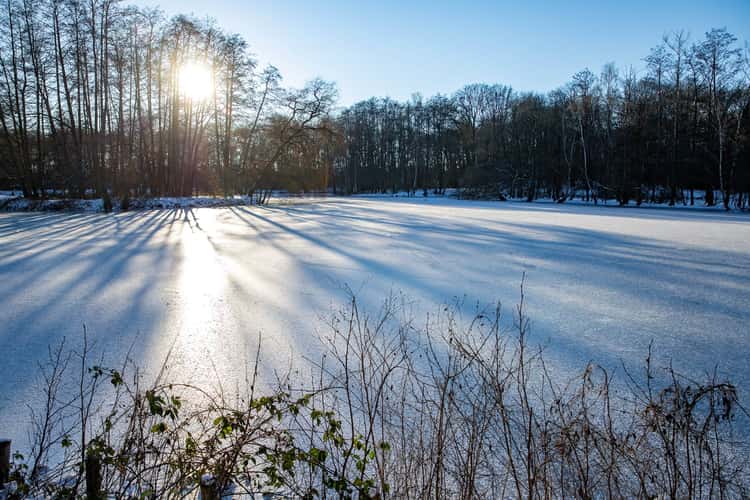 Walsen Ponds in Winter