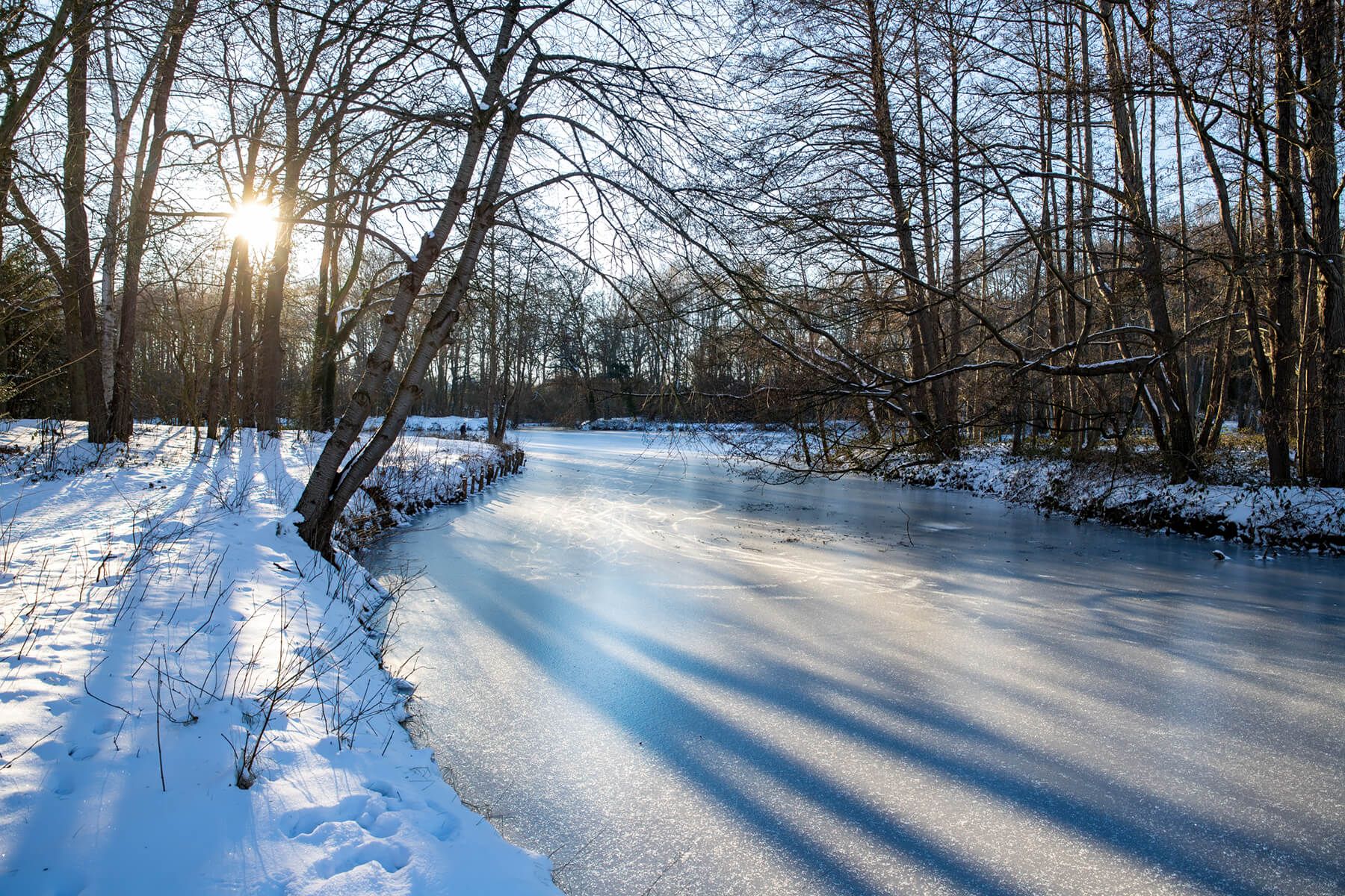Walsen Ponds in Winter, Germany