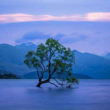 Wanaka Lake, New Zealand